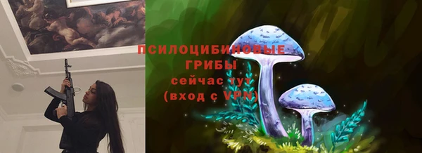 PSILOCYBIN Балабаново